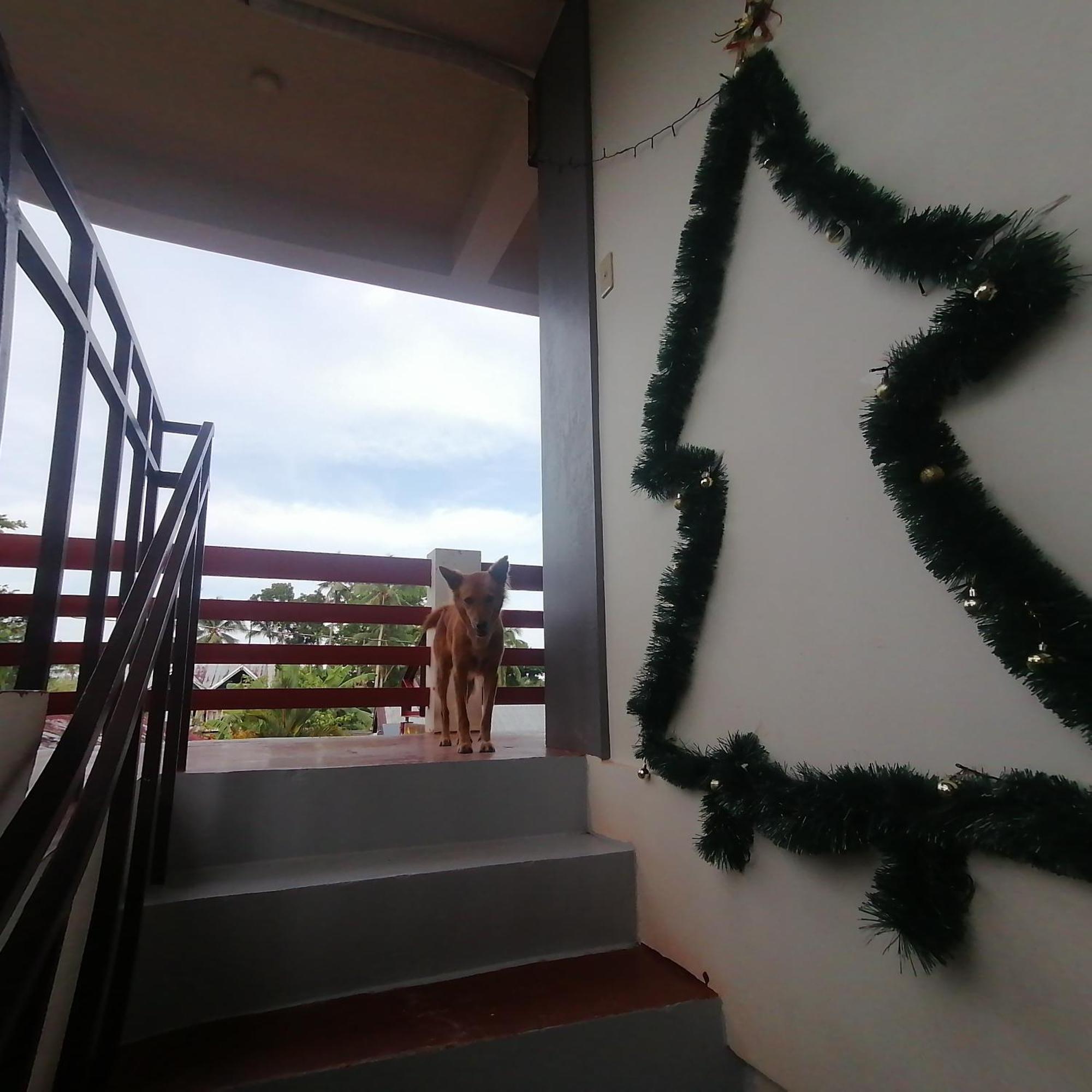 Sol'S Inn - Port Barton San Vicente (Palawan) Exterior foto